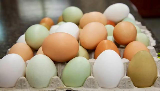 都是鸡蛋：“黄壳、白壳、绿壳”有啥不同？看完以后，可别乱买了
