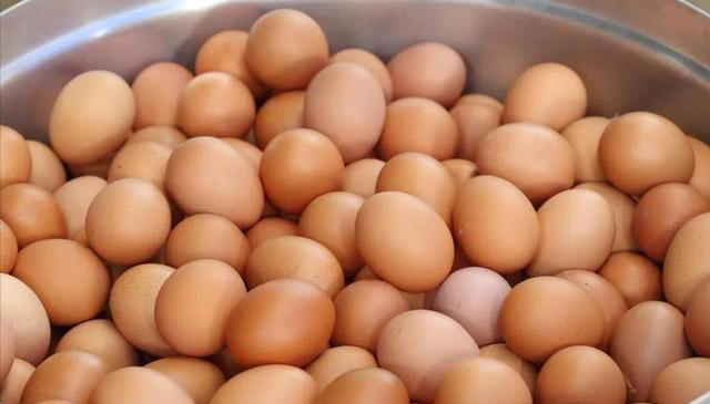 都是鸡蛋：“黄壳、白壳、绿壳”有啥不同？看完以后，可别乱买了