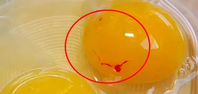 都是鸡蛋：“黄壳、白壳、绿壳”有啥不同？看完以后，可别乱买了