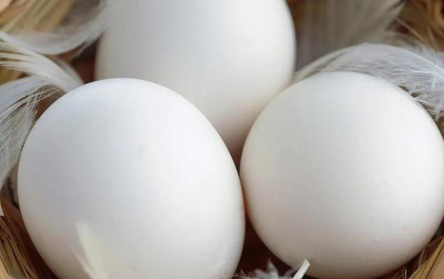 都是鸡蛋：“黄壳、白壳、绿壳”有啥不同？看完以后，可别乱买了