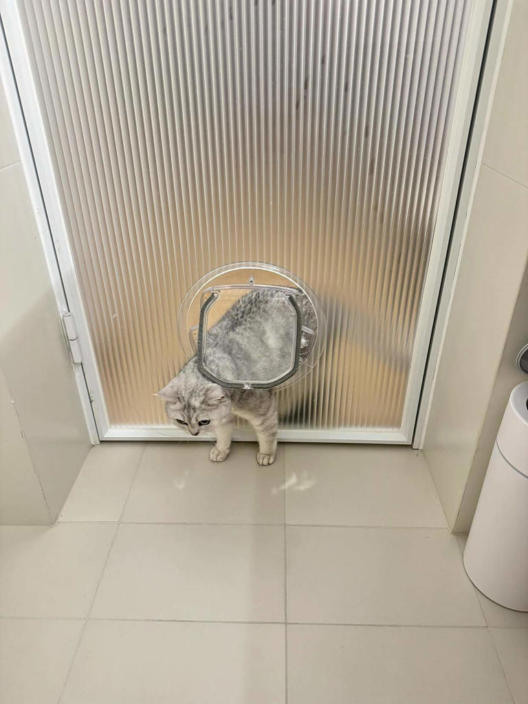 不用卫生间时门开还是关？这不是迷信，有科学依据