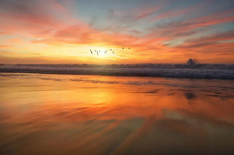 经历的艰辛与挑战，成就更好的你