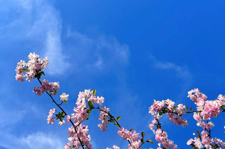 有一种女人，恋爱和婚姻不幸福是有原因的