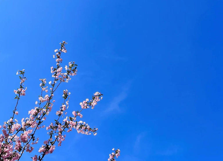 有一种女人，无论恋爱或婚姻中，过不好其实是有原因的