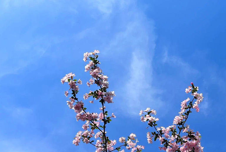 有一种女人，无论恋爱或婚姻中，过不好其实是有原因的