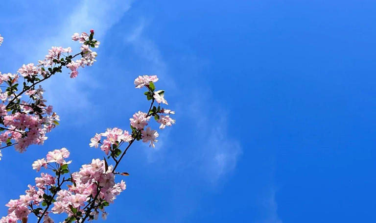 有一种女人，无论恋爱或婚姻中，过不好其实是有原因的