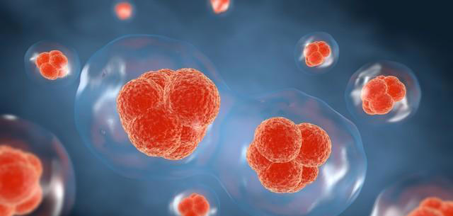 从重度脂肪肝到完全消失，50岁男子只用了2年，方法简单易学