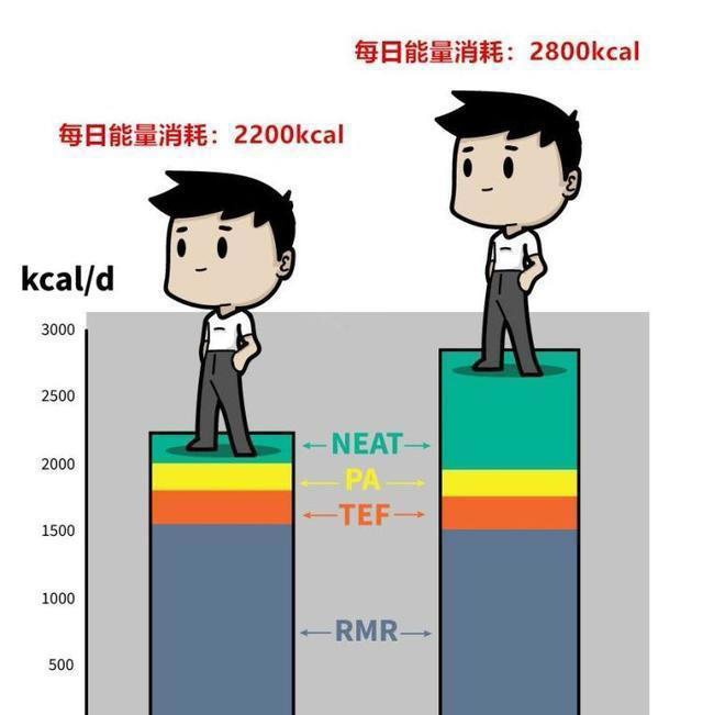 空腹运动真的更燃脂吗？减肥，如何运动会更好？