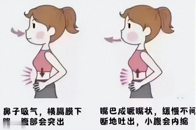 让腰变细的10个习惯，减少内脏脂肪，告别小肚子！ 