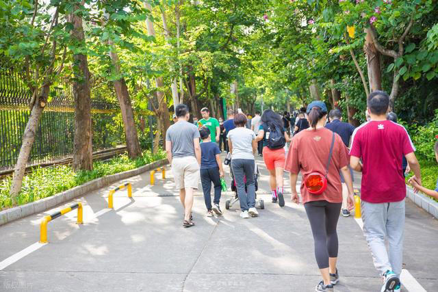 让腰变细的10个习惯，减少内脏脂肪，告别小肚子！