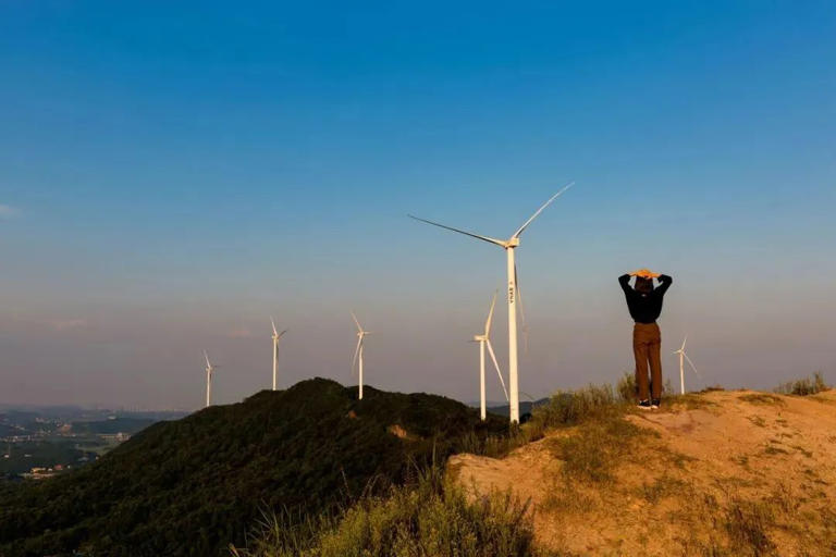 最聪明的活法：不搭理，不计较，不纠缠