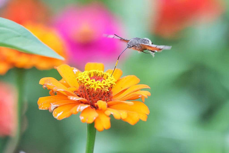 婚恋心理学：看清男人爱不爱你，两处日常细节就足够