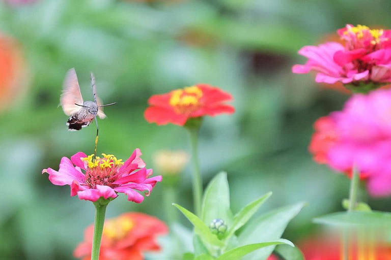 婚恋心理学：看清男人爱不爱你，两处日常细节就足够