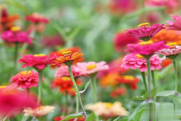 婚恋心理学：看清男人爱不爱你，两处日常细节就足够