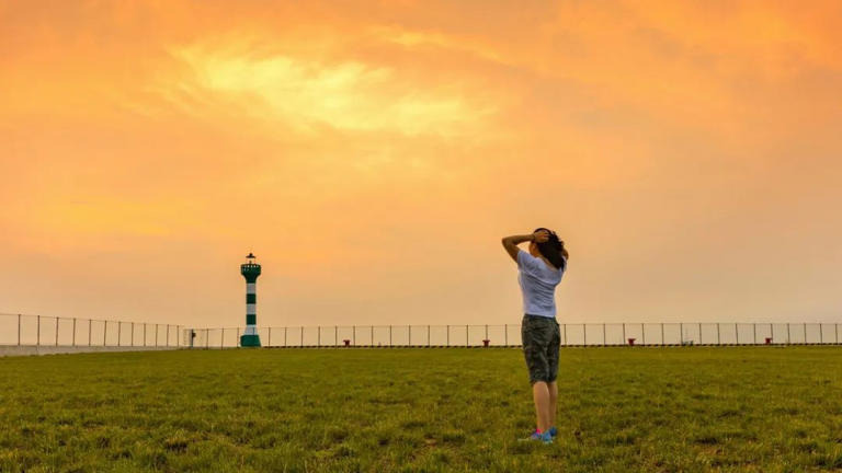 当一个人不联系你，也不拉黑你，真相只有一个