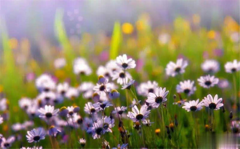 结婚前必问的4个关键问题，确保关系稳固可靠