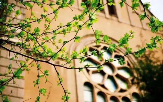 让别人舒服的程度，决定着你成功的程度