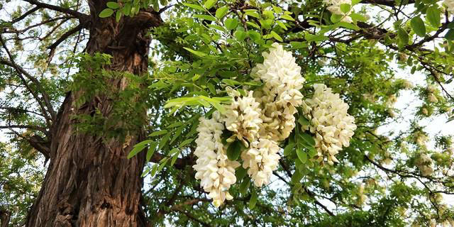 情感分享：人活着，不要去羡慕任何人