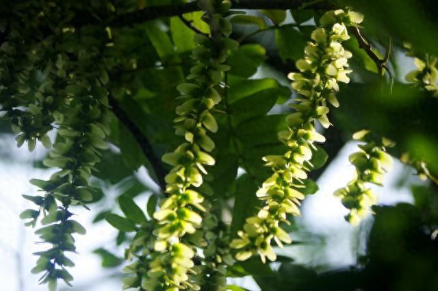 情感分享：人活着，不要去羡慕任何人