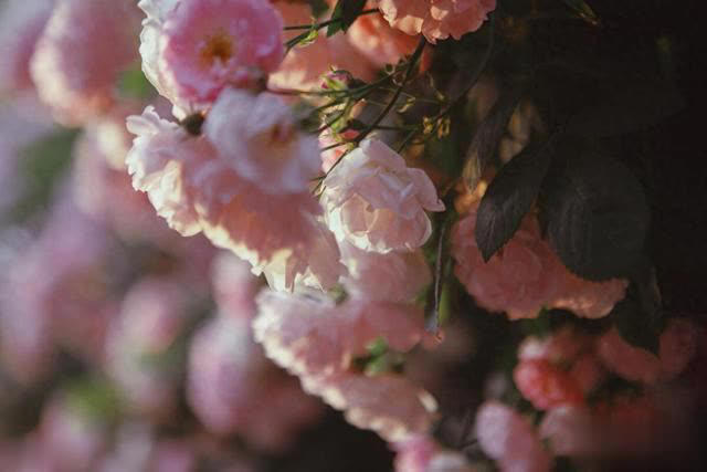 做好自己的事，时间会证明一切