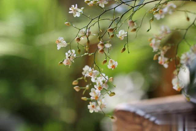做好自己的事，时间会证明一切