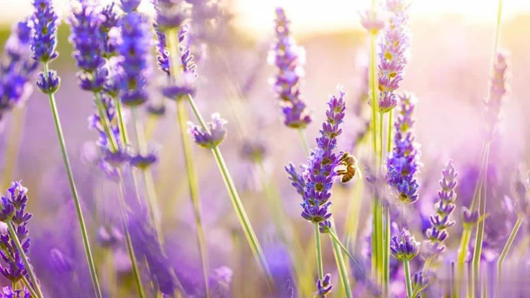 人啊，这一生，很无常！