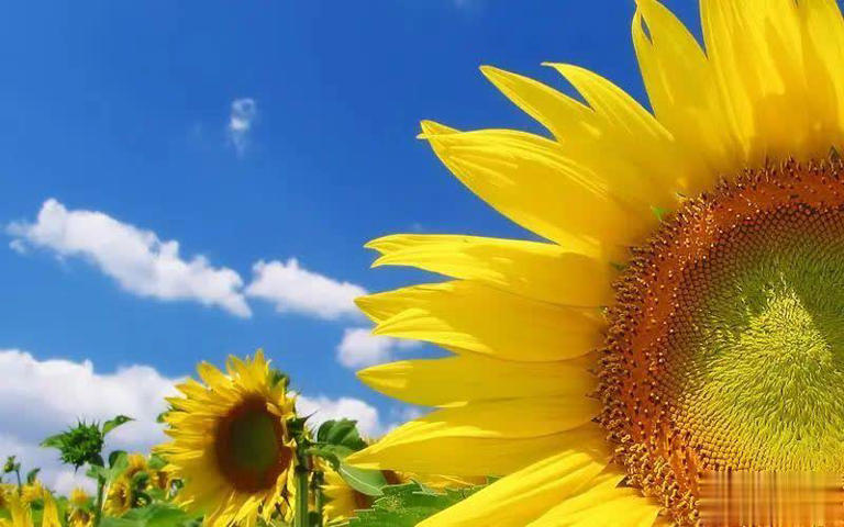 人啊，这一生，很无常！