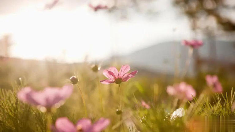 人啊，这一生，很无常！