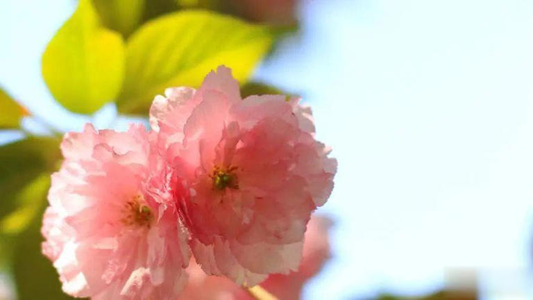 人啊，这一生，很无常！