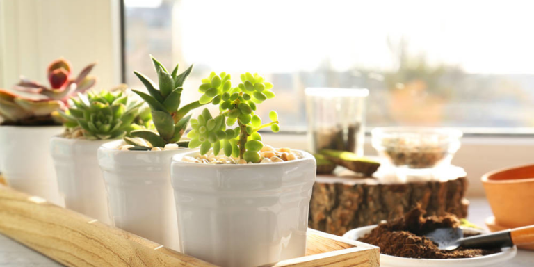  做人，以良心为根，以人品为本！ 