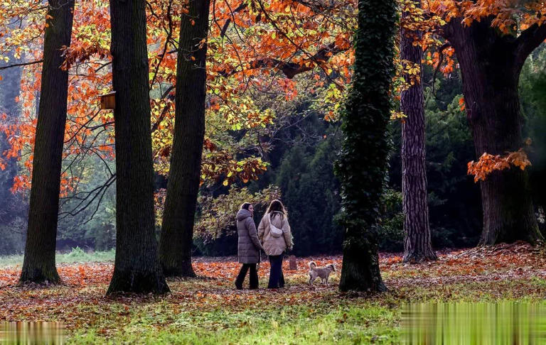 生命太短没有时间留给遗憾，熬过了必须的苦，才能过上喜欢的生活