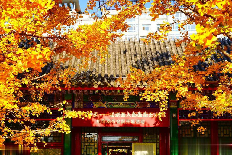 生命太短没有时间留给遗憾，熬过了必须的苦，才能过上喜欢的生活