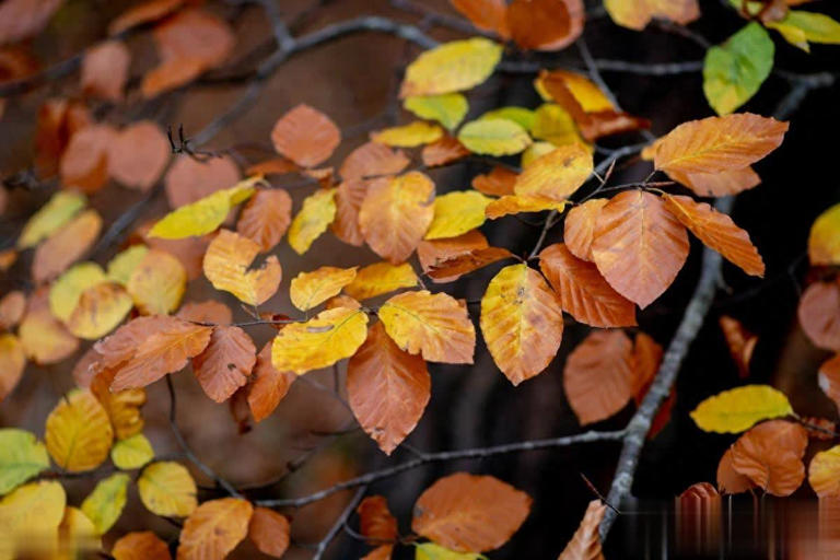 生命太短没有时间留给遗憾，熬过了必须的苦，才能过上喜欢的生活