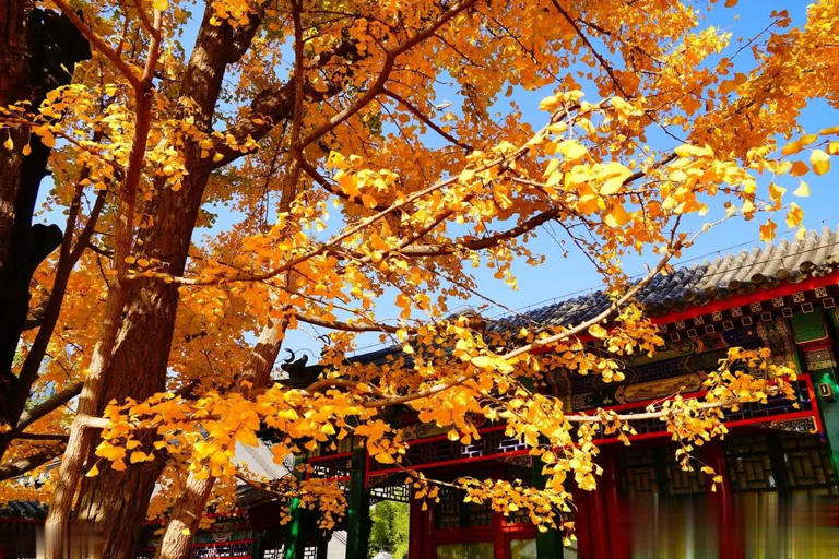 生命太短没有时间留给遗憾，熬过了必须的苦，才能过上喜欢的生活