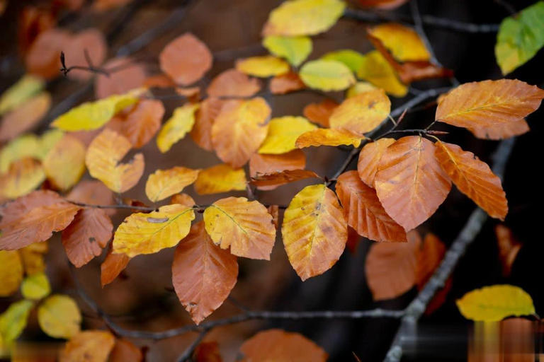 生命太短没有时间留给遗憾，熬过了必须的苦，才能过上喜欢的生活