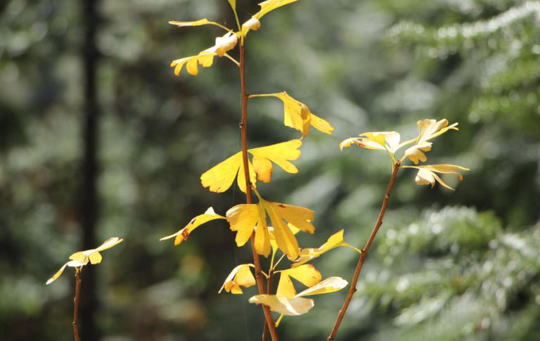 真正厉害的人，是常常失败的人