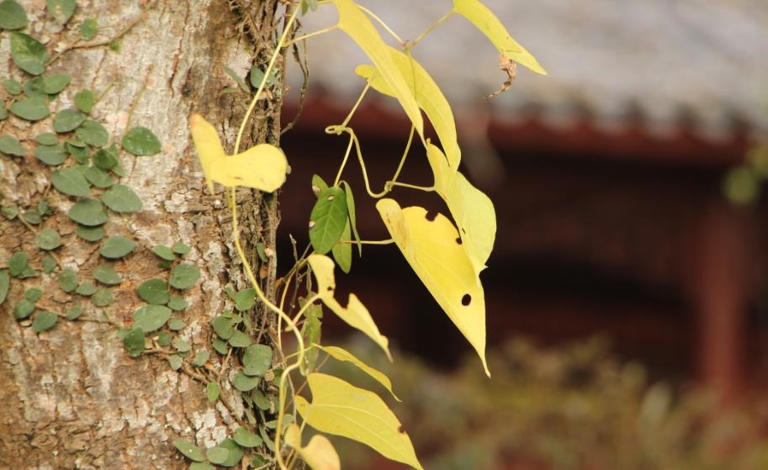 真正厉害的人，是常常失败的人
