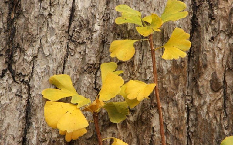 真正厉害的人，是常常失败的人