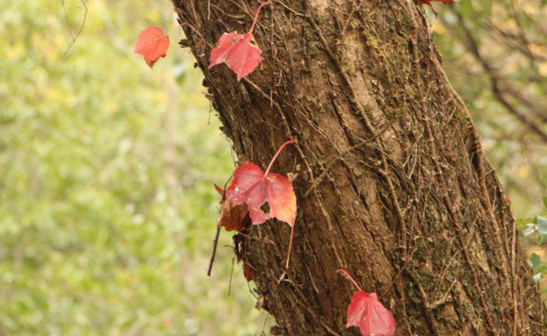 真正厉害的人，是常常失败的人