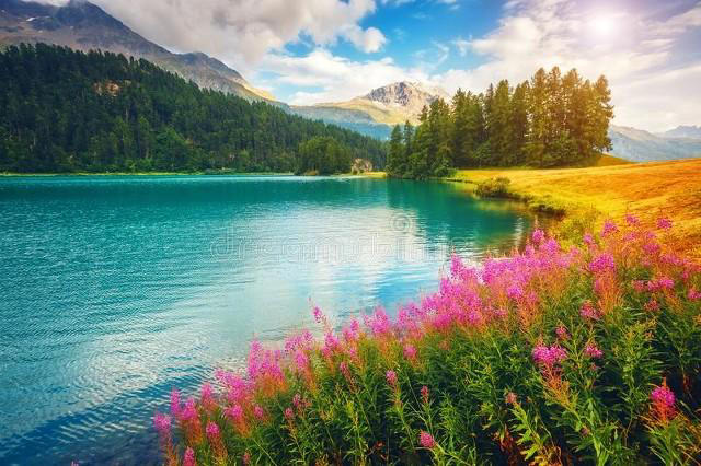 女人这样走进男人心里，让他精神上依赖你