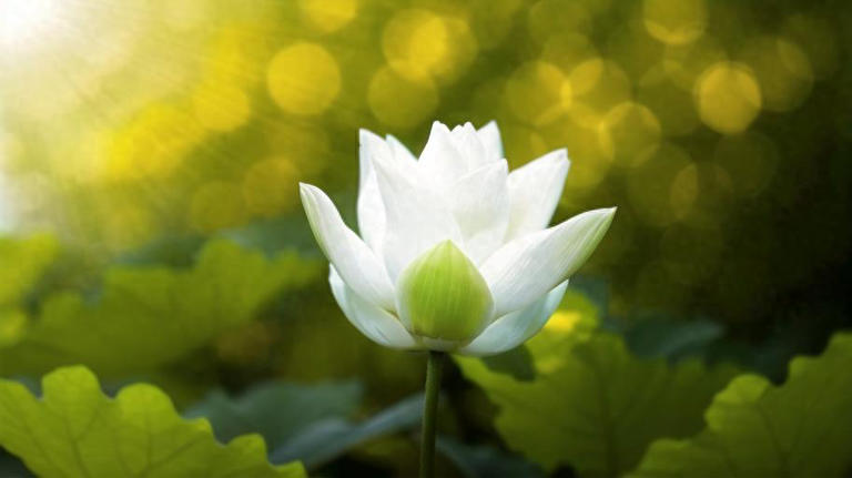 得到，未必是福；失去，未必是祸