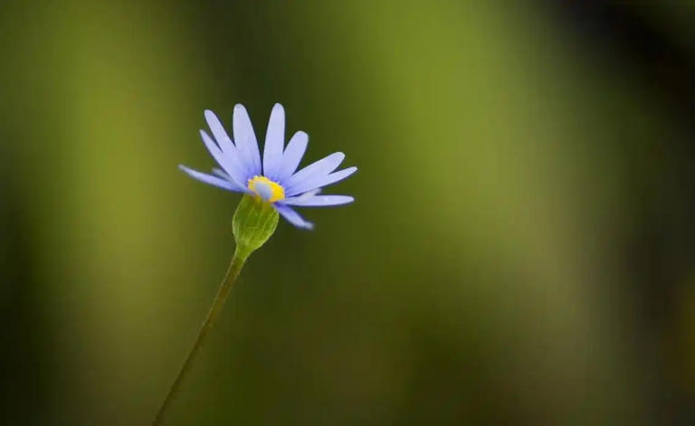 记住，人生没有回头路，只有当下最重要