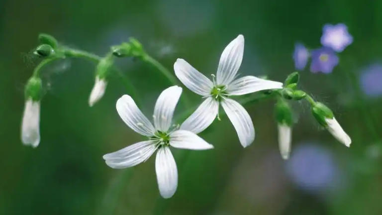 记住，人生没有回头路，只有当下最重要