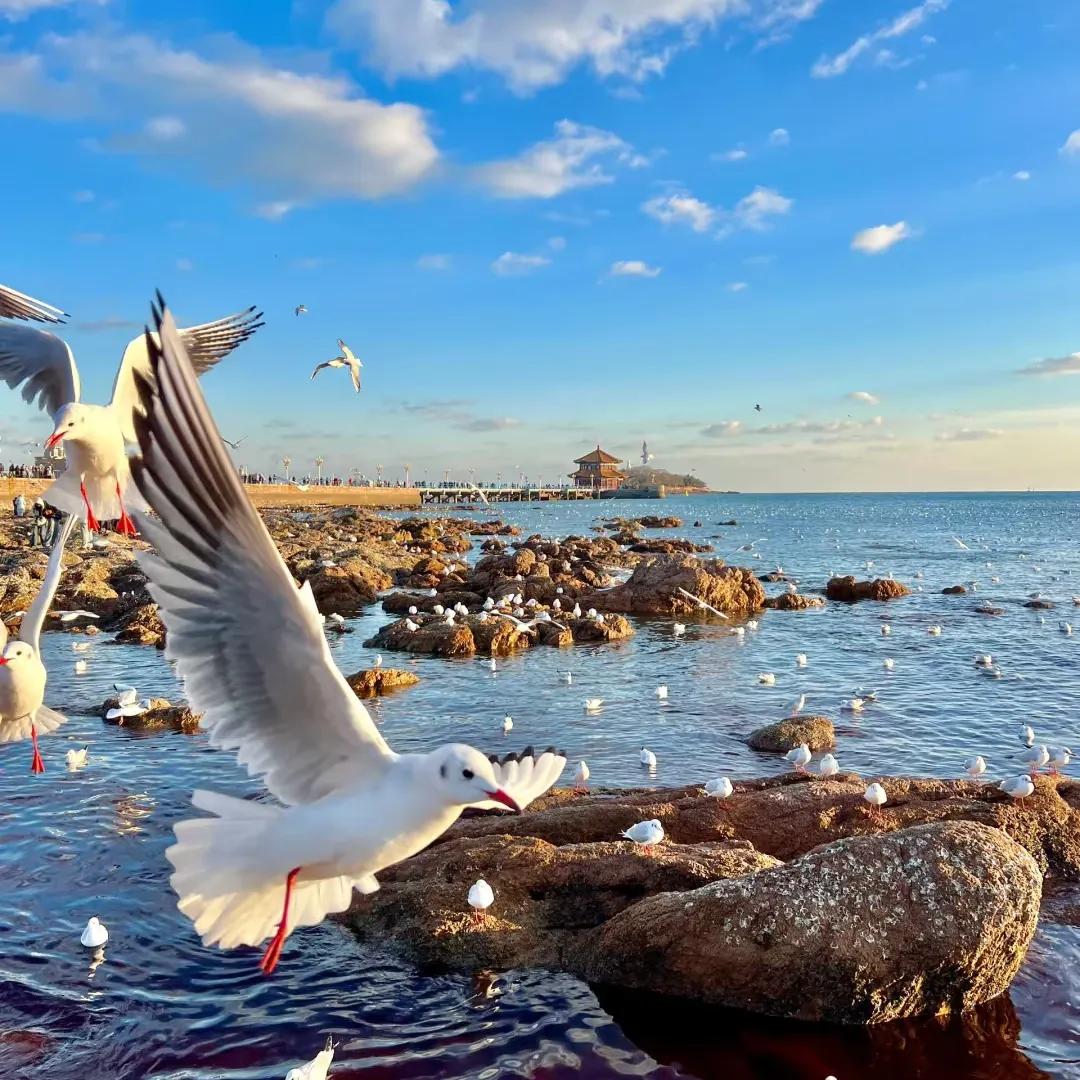 高铁直达，游客几乎零差评的5座城市，争取每年去一个！