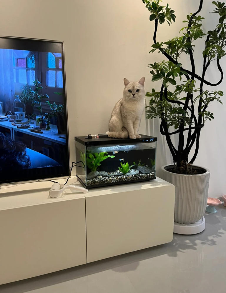 家里的网速越来越卡？快把路由器旁这4样东西挪走！网速立马提升