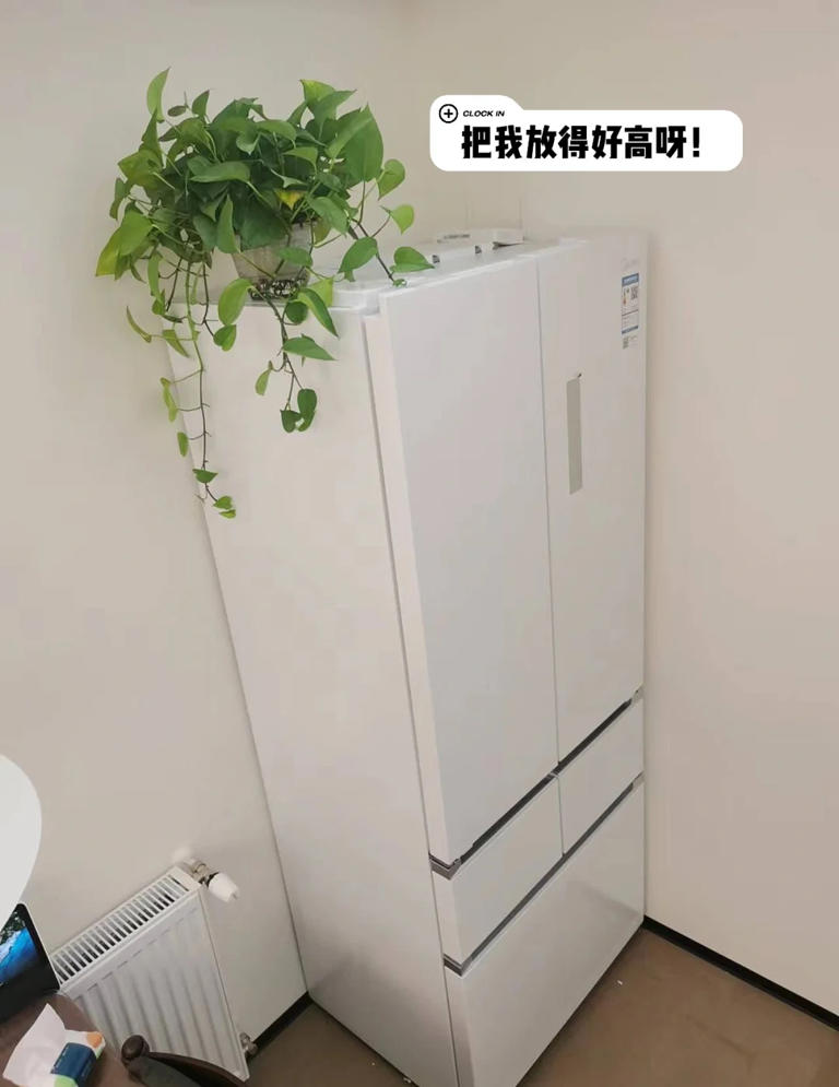 家里的网速越来越卡？快把路由器旁这4样东西挪走！网速立马提升