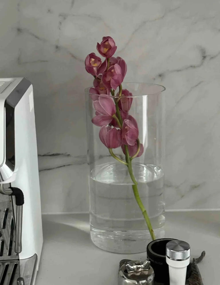 家里的网速越来越卡？快把路由器旁这4样东西挪走！网速立马提升