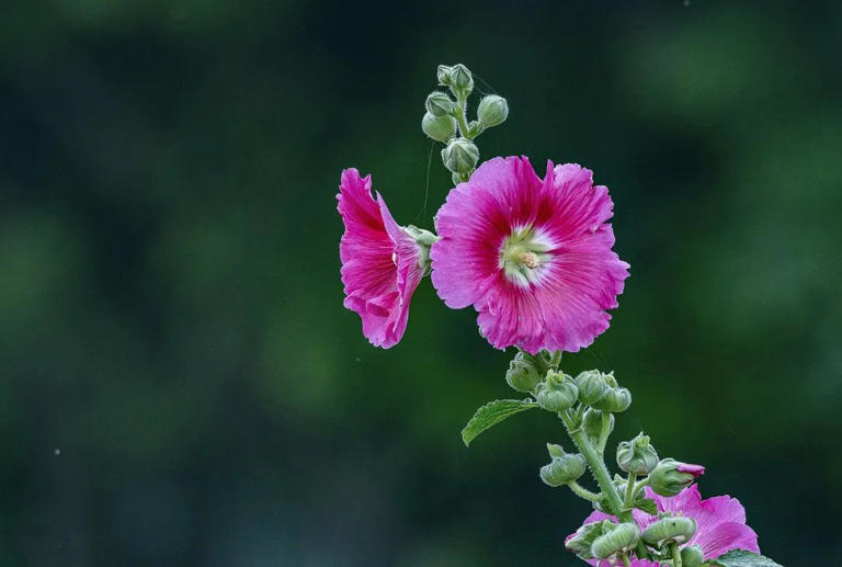 成功很多时候并不需要自己多优秀，只要你比其他人好一丢丢就成了