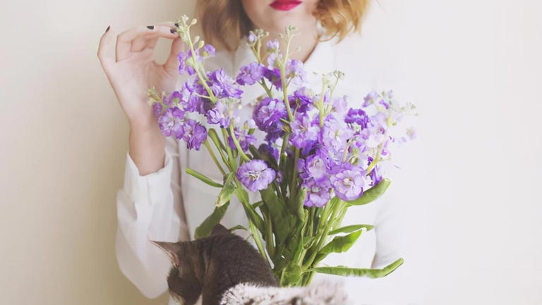 当你悟透了“生老病死”的真相，余生，就不再迷茫了