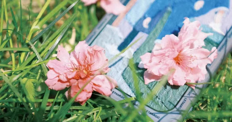 永远不要，跟这种人讲道理